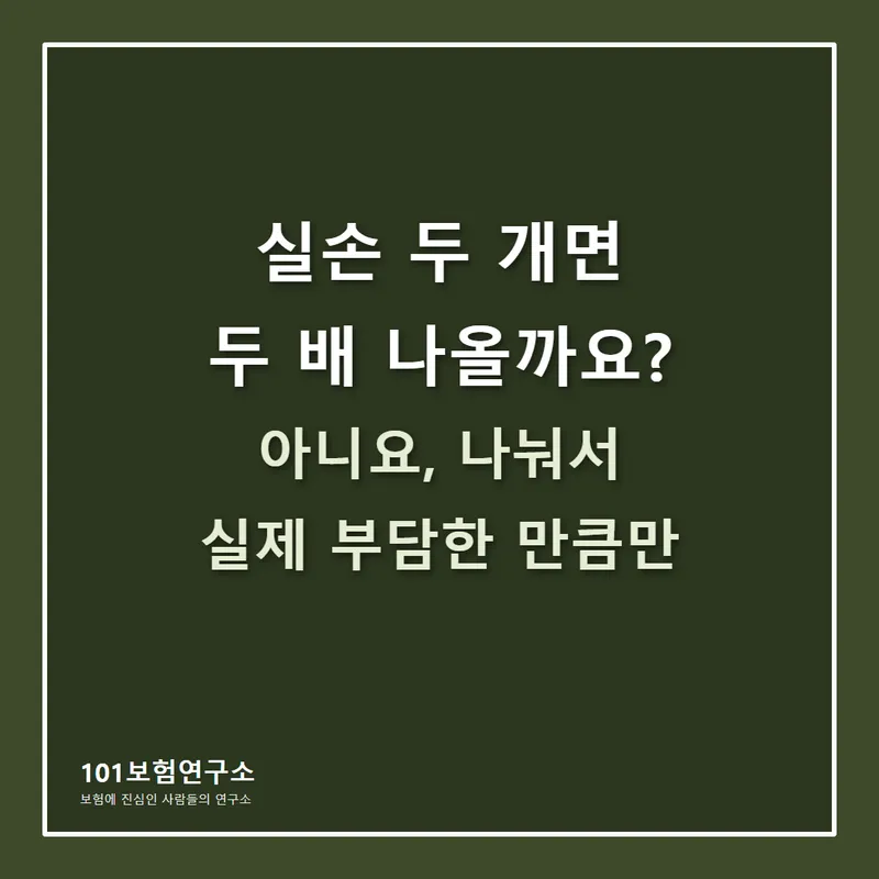 실손 두 개 들었는데 두 배 나올까요 썸네일